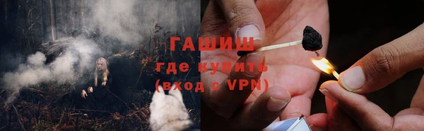 прущие грибы Абаза